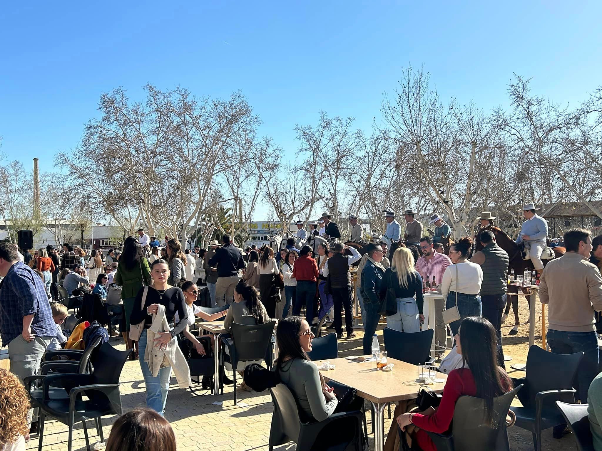 Más de 200 caballos y enganches se dan cita en el Parque de Colón de Andújar