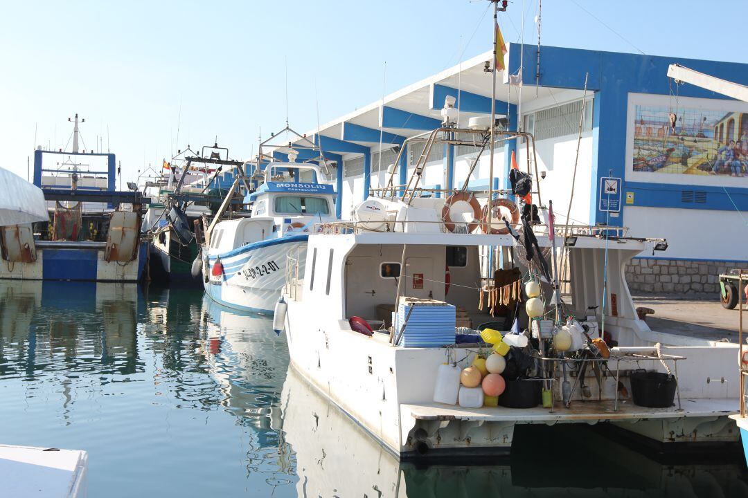 La Conselleria de Agricultura destina ayudas directas a los sectores afectados por la crisis del coronavirus
