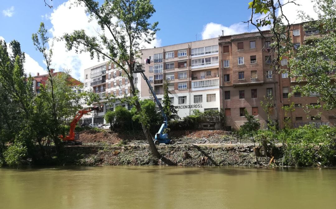 Las actuaciones están dejando un espacio notorio en una de las riberas del Duero