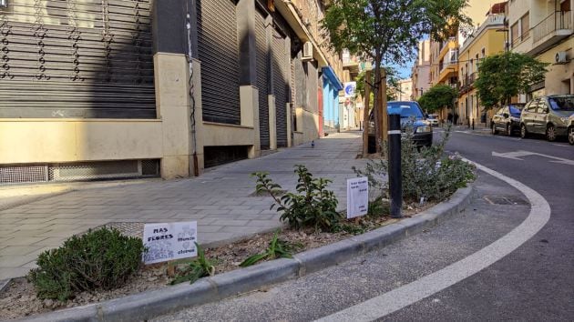 Una de las jardineras plantadas por los propios vecinos en Poeta Zorrilla
