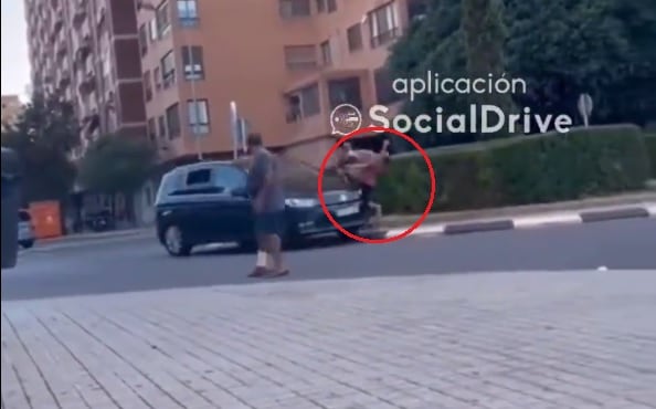 Así ha sido el atropello de un hombre a su suegra en València.