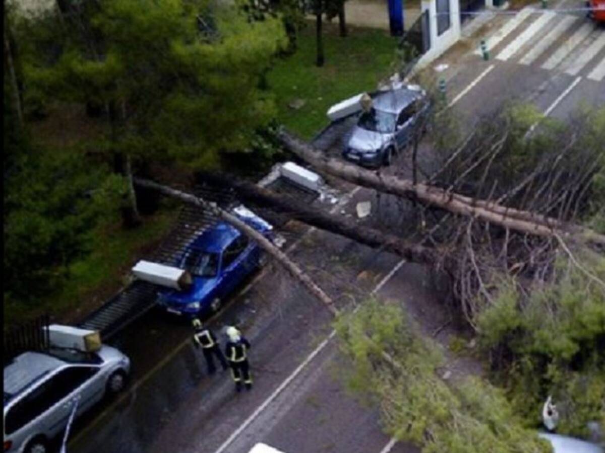 El Ayuntamiento mantiene cerrados los parques y evalúa el estado de los árboles