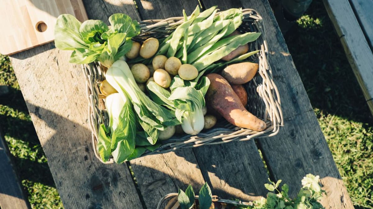 Entrevista a Alejandro Moro, que impartirá una charla organizada por ANAPRI, sobre el papel de la agricultura regenerativa en la lucha contra la desertificación y el cambio climático