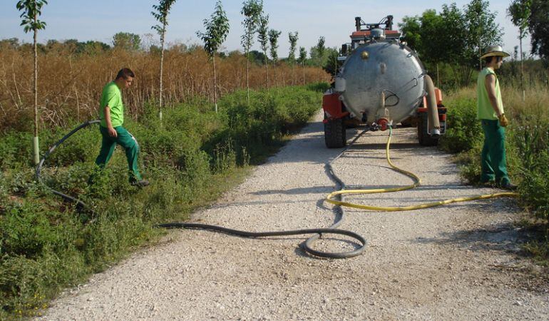 Dos trabajadores en el parque de Polvoranca