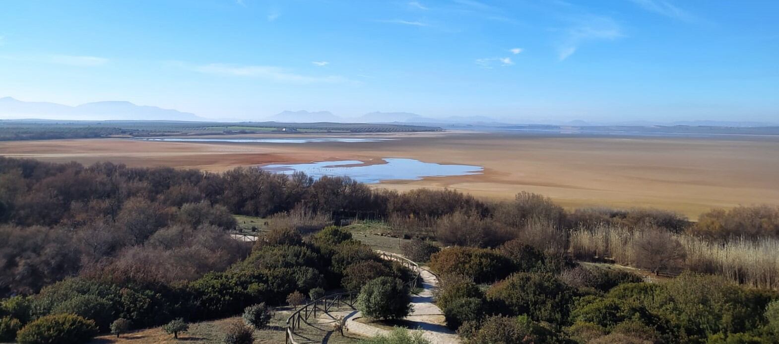 Panorámica de la laguna de Fuente de Piedra a fecha de hoy