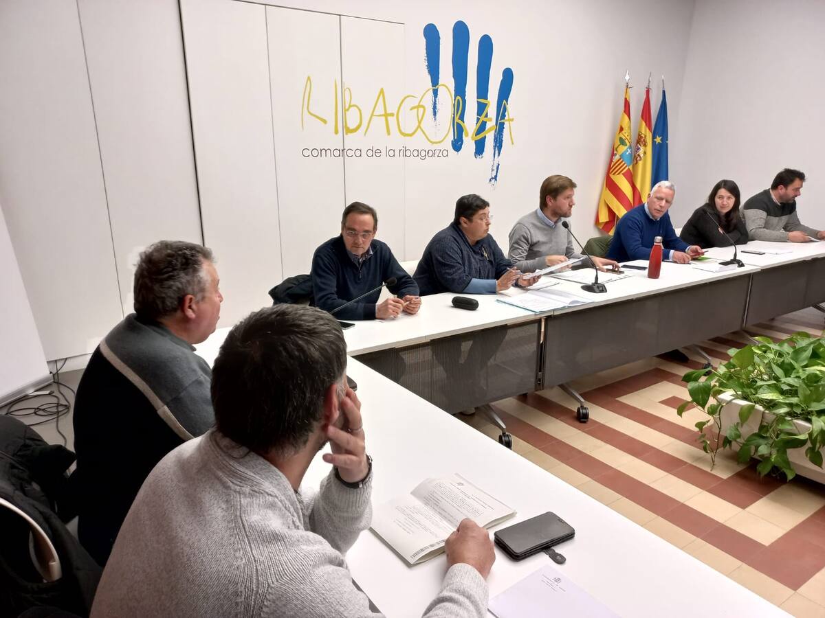 El Consejo de Ribagorza apoya el informe de la salud rural del Justicia de Aragón