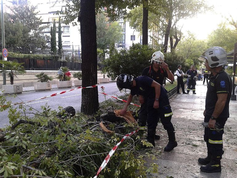 GRA011 MADRID, 30/8/2015.- Fotografías facilitadas por Emergencias Madrid del lugar donde la caída de la rama de un árbol, ucurrido ayer a ultima hora de la tarde, en el bulevar que hay en el centro de la calle Juan Bravo, provocó heridas de diversa consideración a tres personas que se encontraban en la terraza donde cayó la rama. EFE/SOLO USO EDITORIAL