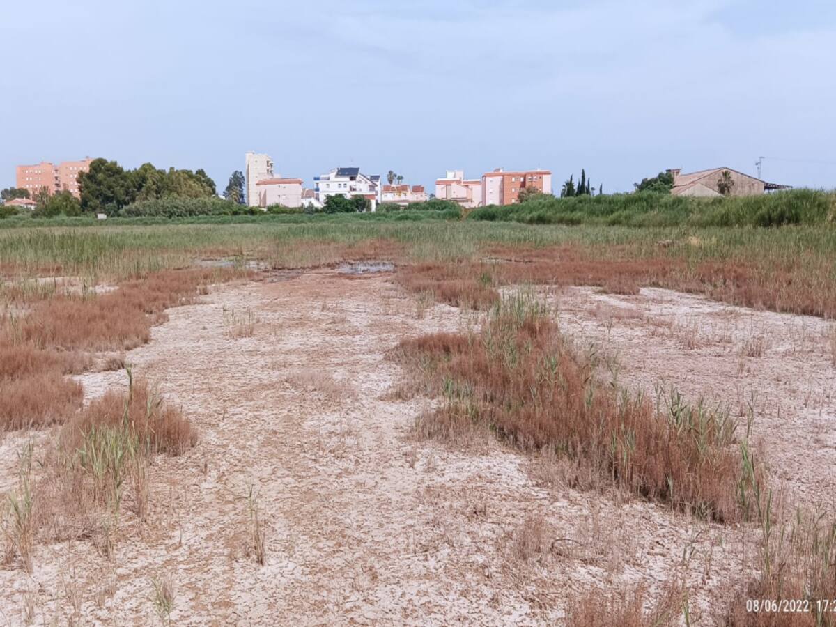 La Fiscalía abre diligencias de investigación penal por la desecación de la finca del Pou de Nules