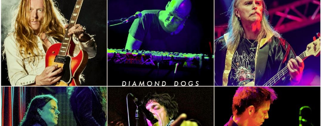 Diamond Dogs