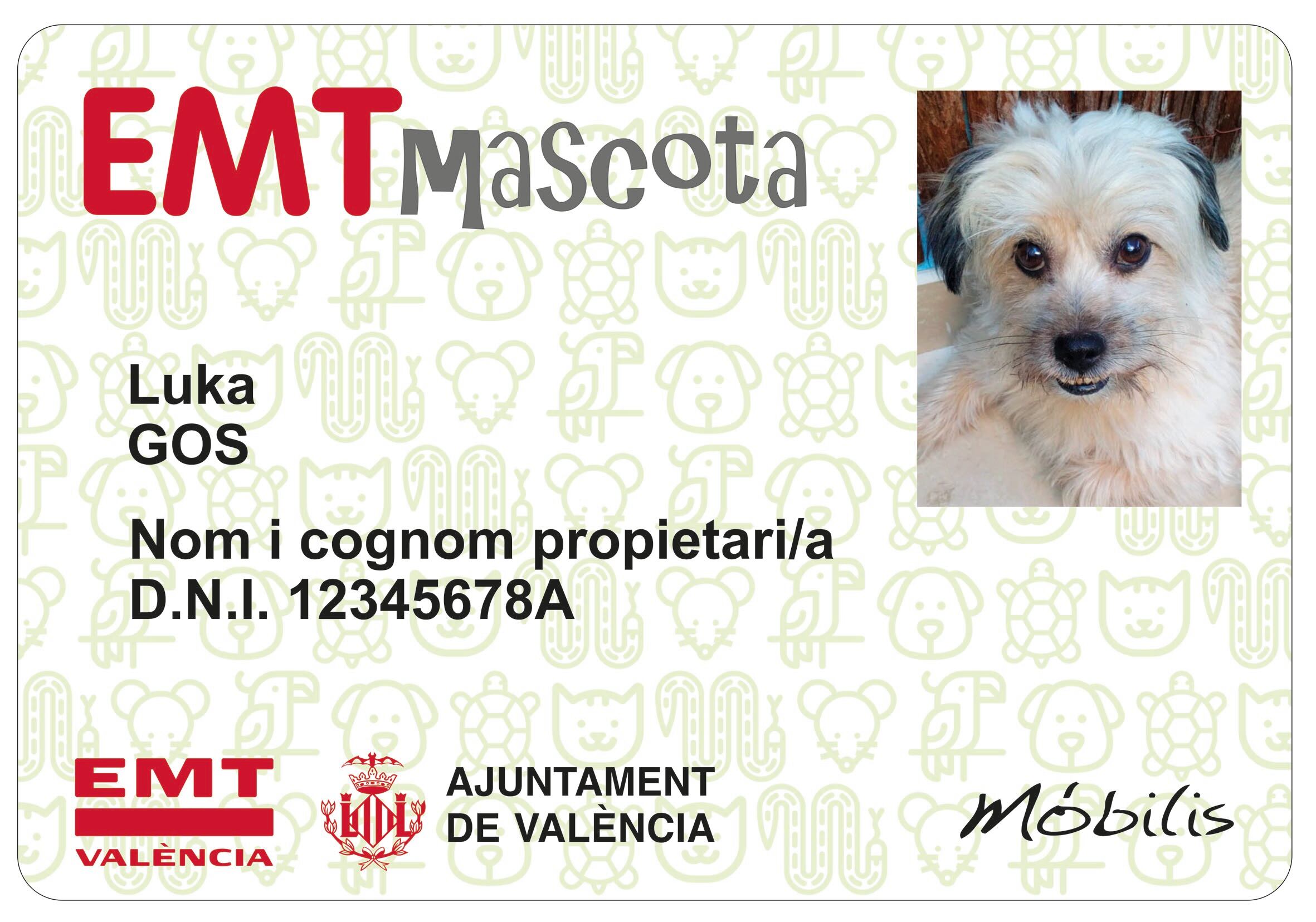 Tarjeta EMT Mascota de un perro