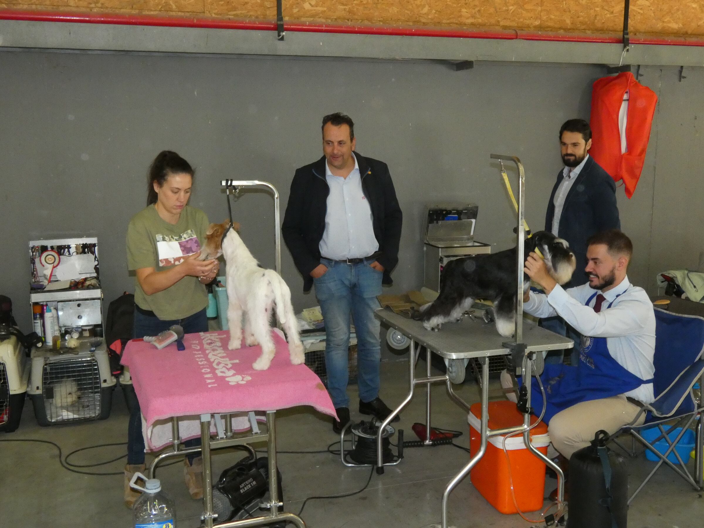 El concejal responsable de Talavera Ferial Roberto Gallegos en &#039;Ebora Dog Show&#039;