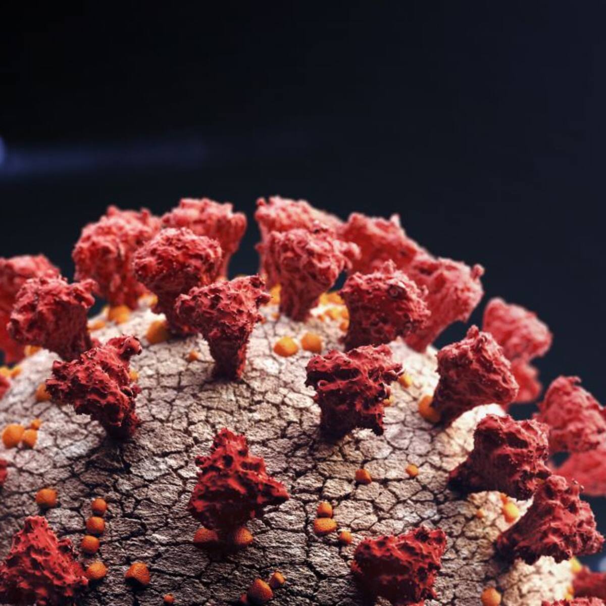 Suben los positivos y las hospitalizaciones por coronavirus en una jornada sin fallecidos