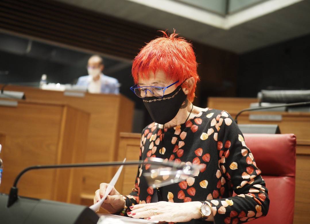 La consejera de Salud del Gobierno de Navarra, Santos Induráin, en el Parlamento de Navarra.