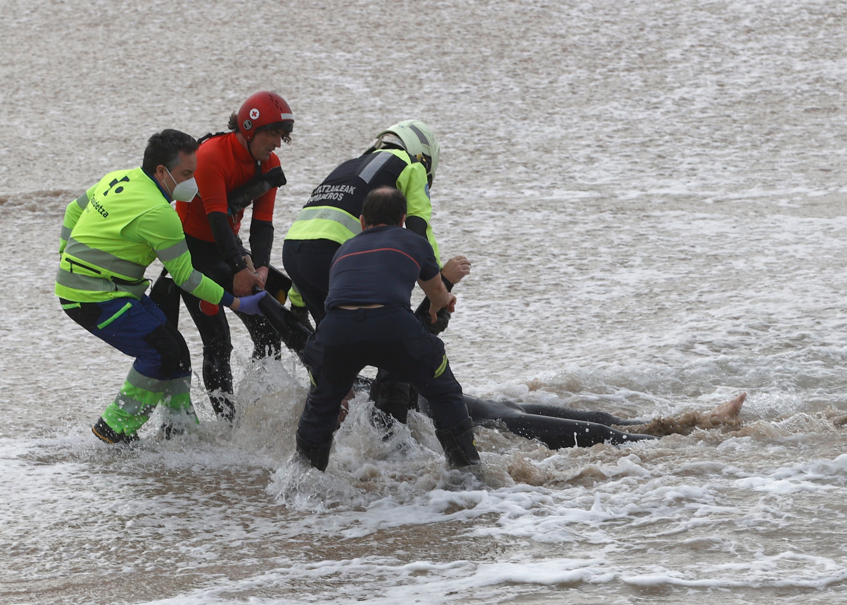 Efectivos de la Cruz Roja, Ertzaintza y Bomberos participan este martes en el rescate de un surfista accidentado en la playa de la Zurriola de San Sebastián