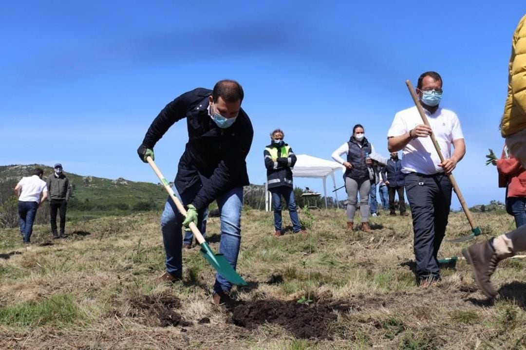 El alcalde de Cerdedo-Cotobade trabajando en la plantación de 250.000 árboles autóctonos