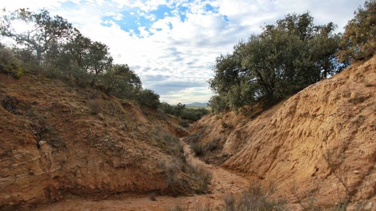 Geolodía 2022: cárcavas de Villaflor