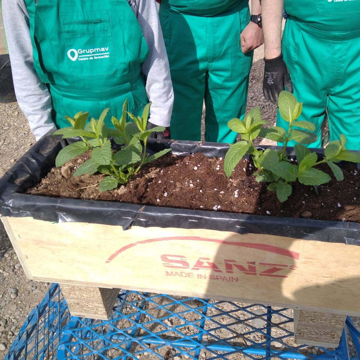 La Cámara de Huesca impulsa la empleabilidad de casi 80 jóvenes con formación para mejorar su cualificación