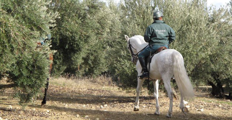 Dos guardias civiles a caballo vigilan un campo durante la anterior campaña.