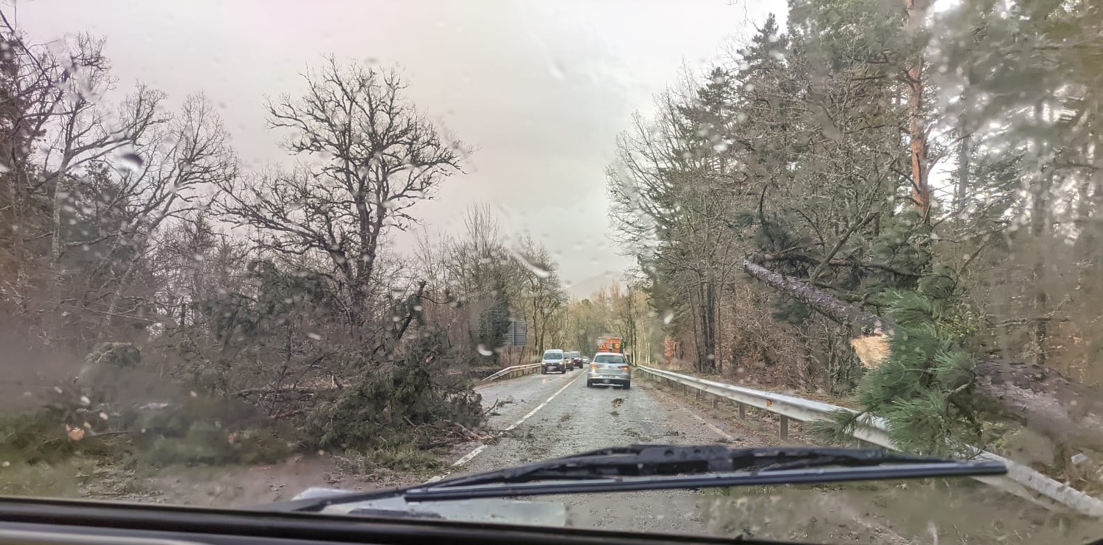 Caída de árboles en la CL-601 entre La Granja y Valsaín