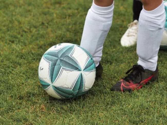 Los expertos reivindican más formación entre técnicos y jóvenes