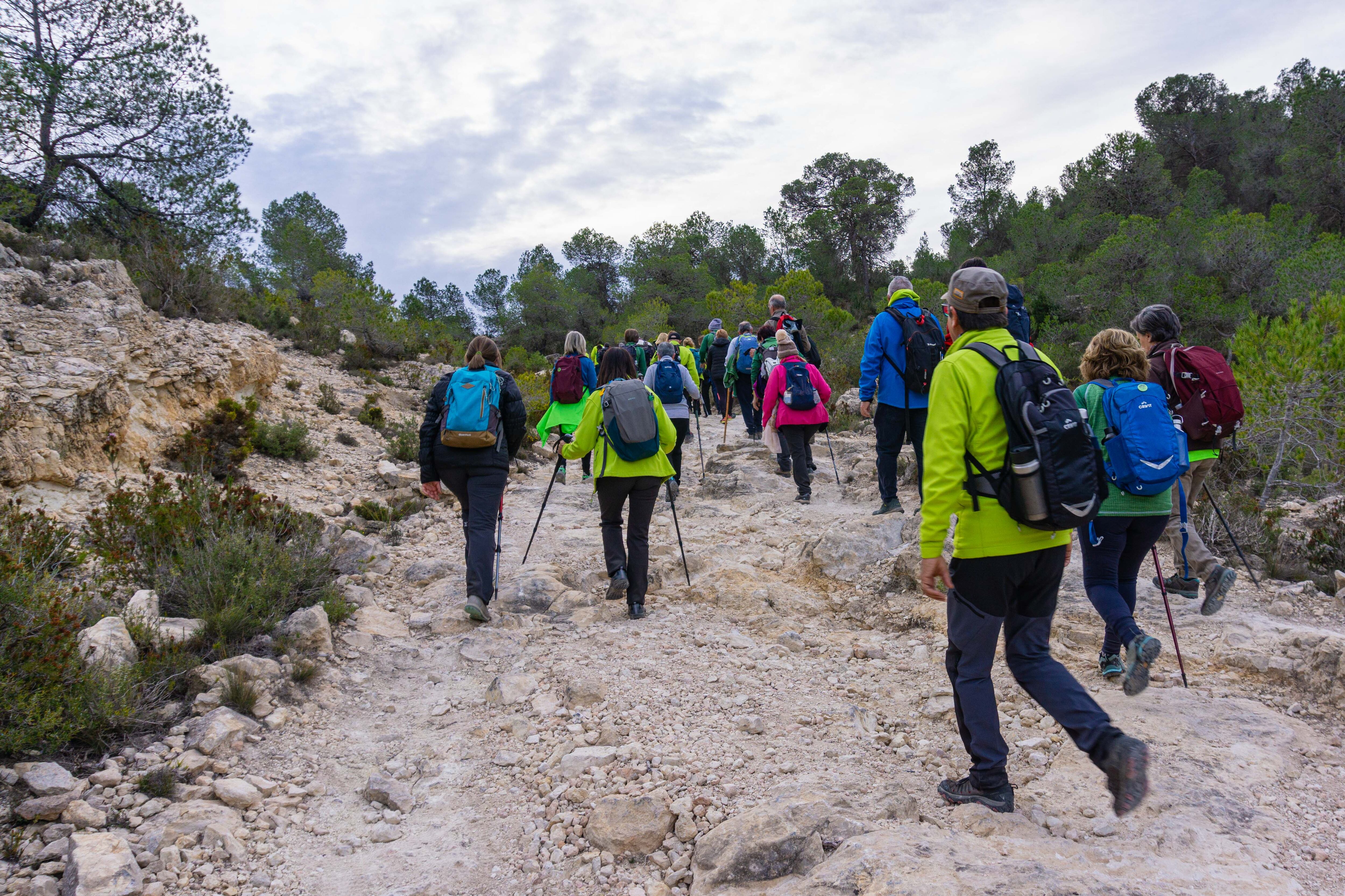 Aviana en la Sierra de la Villa