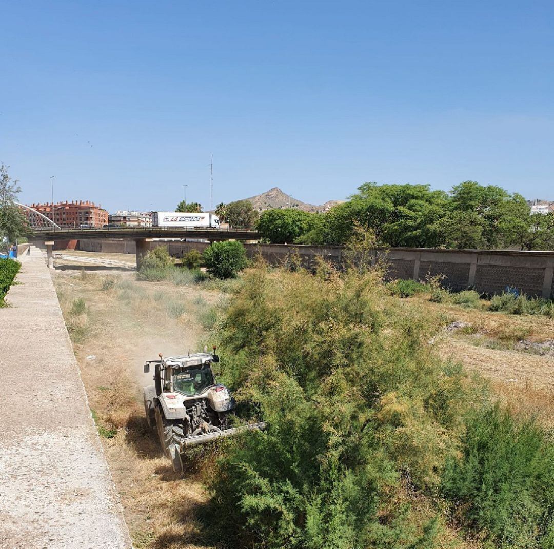 Comienzan los trabajos de desbroce del Río Guadalentín a su paso por el casco urbano.