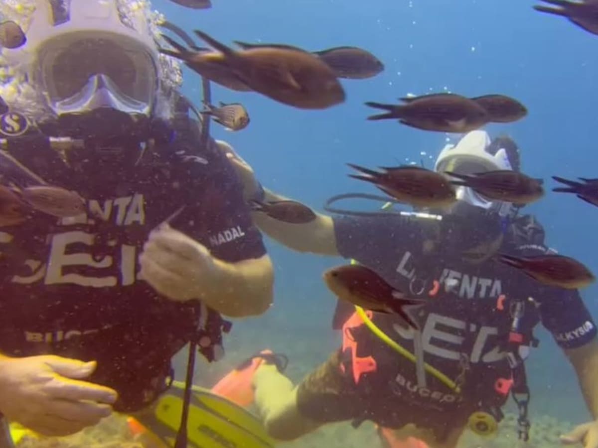 "No somos un país nórdico; los mediterráneos tendemos a tener gente que se dedica al furtivismo y hay que controlarlo siempre"