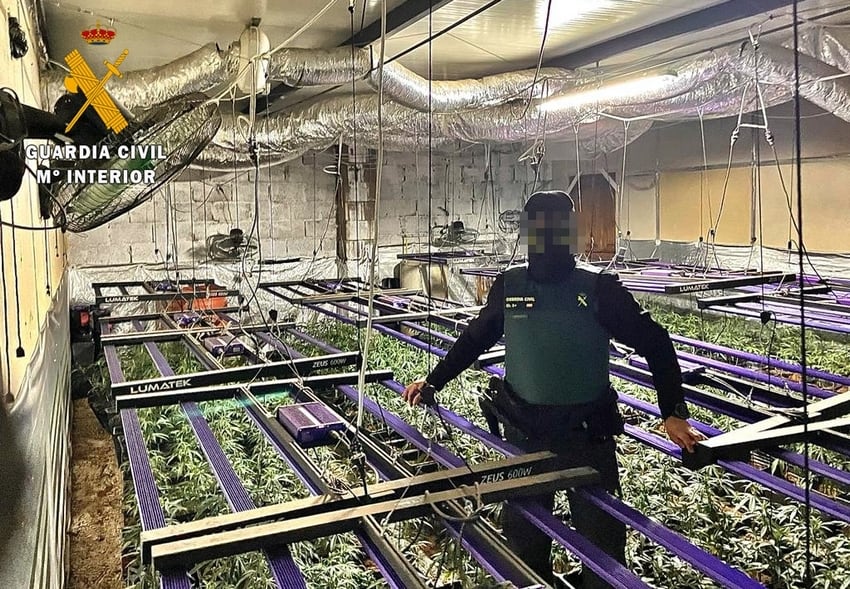 Agente de la Guardia Civil en una plantación indoor en Mérida