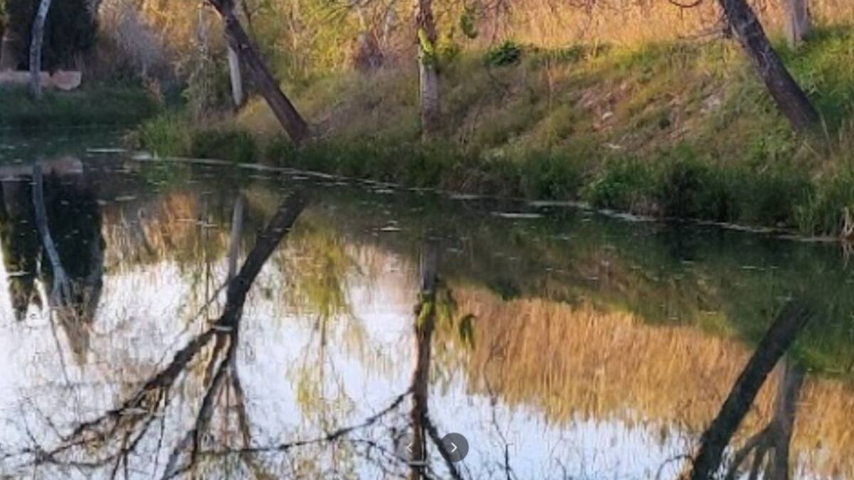 Se investiga la aparición del cuerpo de una mujer de 41 años en El Clot de Borriana