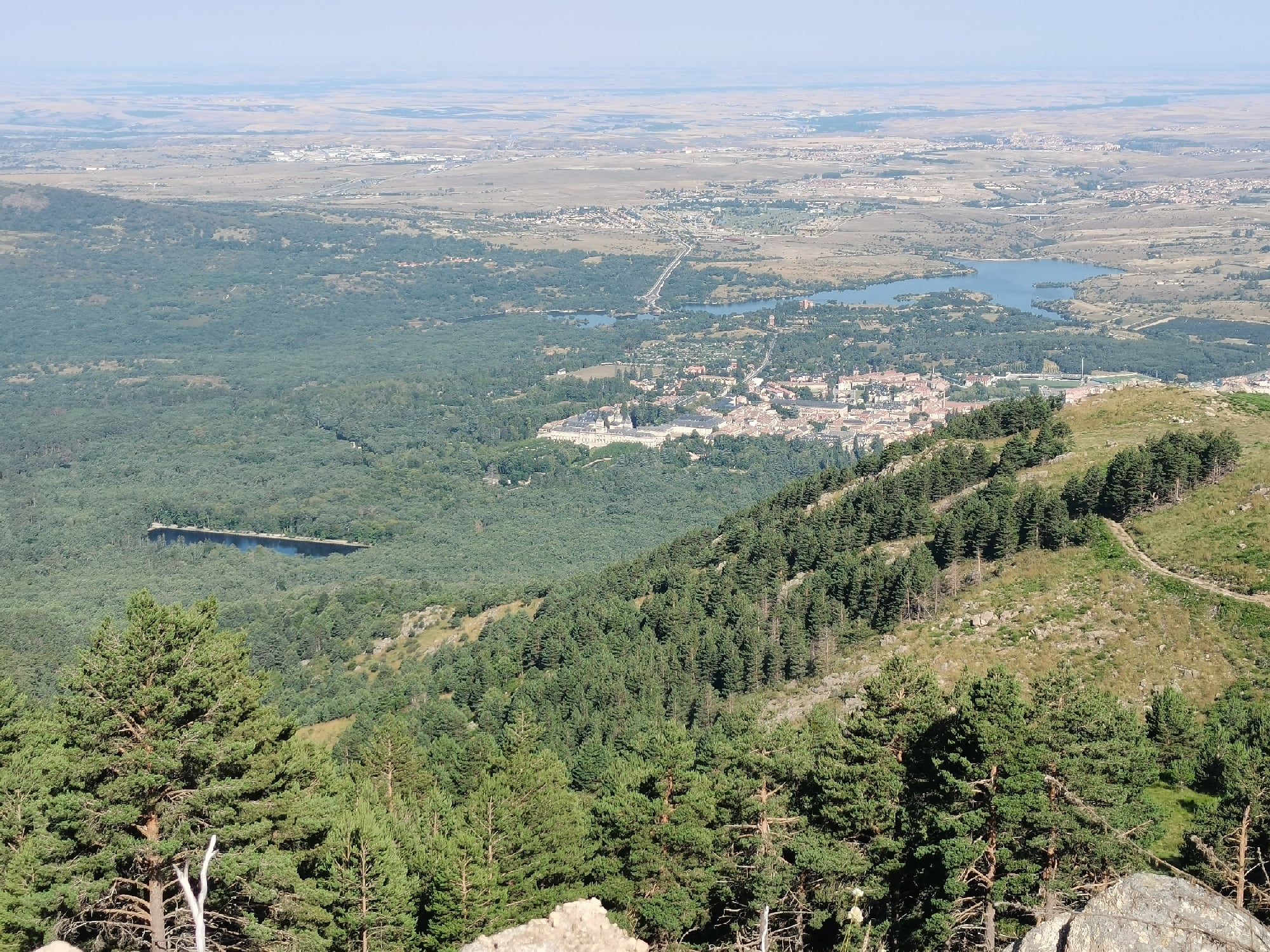 Imágenes de la vegetación en el término municipal de La Granja