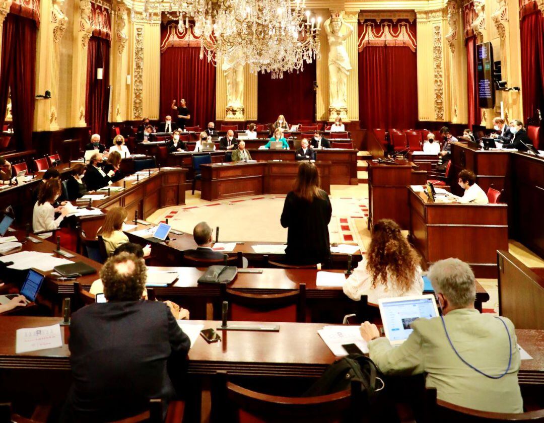 Mae de la Concha ha explicat al Parlament el motiu pel que el decret de sequera es va aprovar al maig i no al febrer.