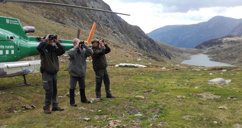 En la imatge, vigilància amb el suport de l'helicòpter, des del Port de Tavascan, al Pallars Sobirà