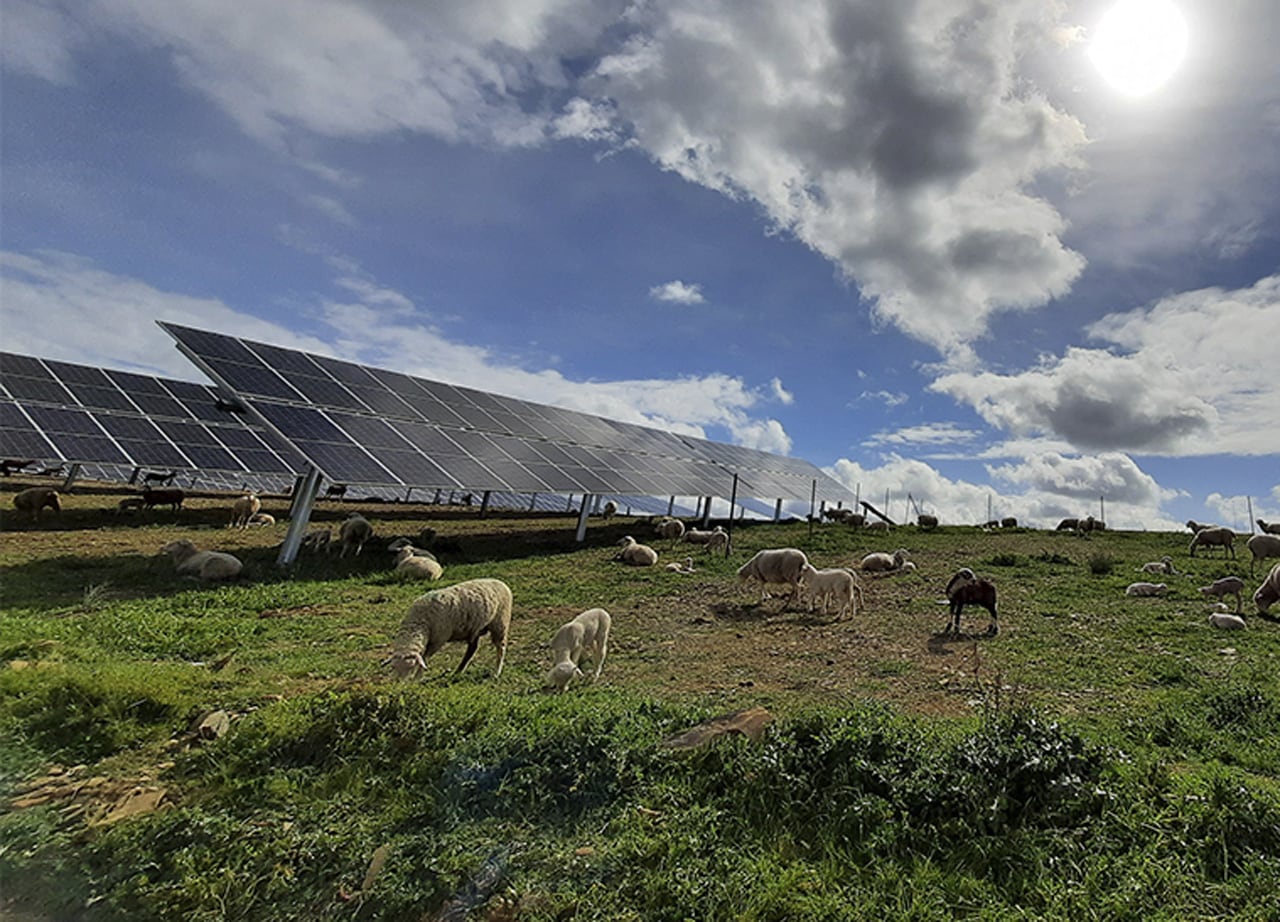 Una de las plantas de energía solar fotovoltaica