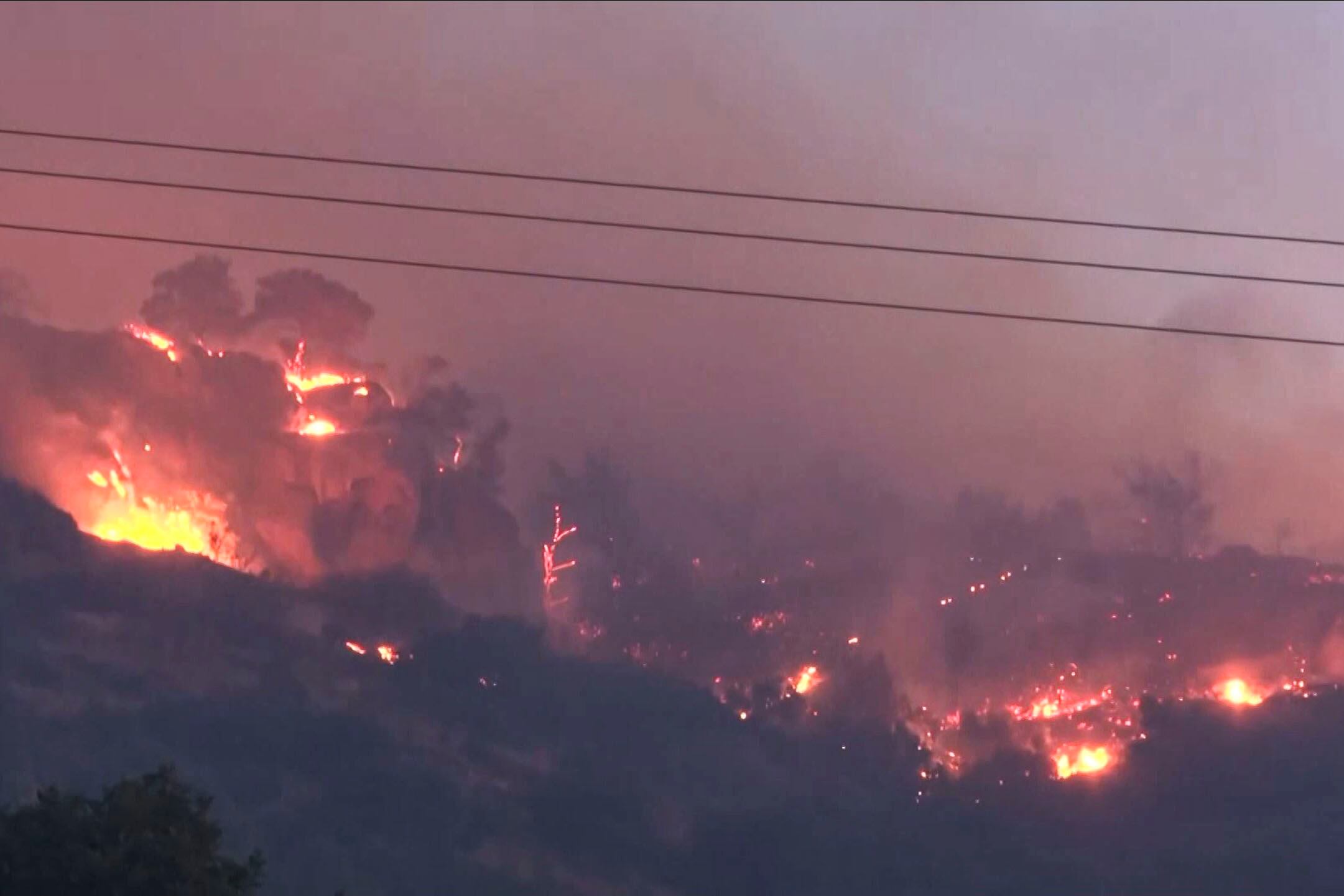 Unas 5.000 personas, principalmente turistas, han tenido que ser evacuadas de la región de Lasithi, en la isla griega de Creta, debido a un incendio forestal declarado el miércoles.