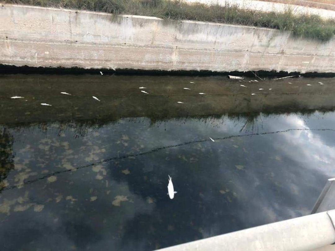 El canal de defensa que limita la playa de la Goleta de Tavernes y el Brosquil de Cullera.