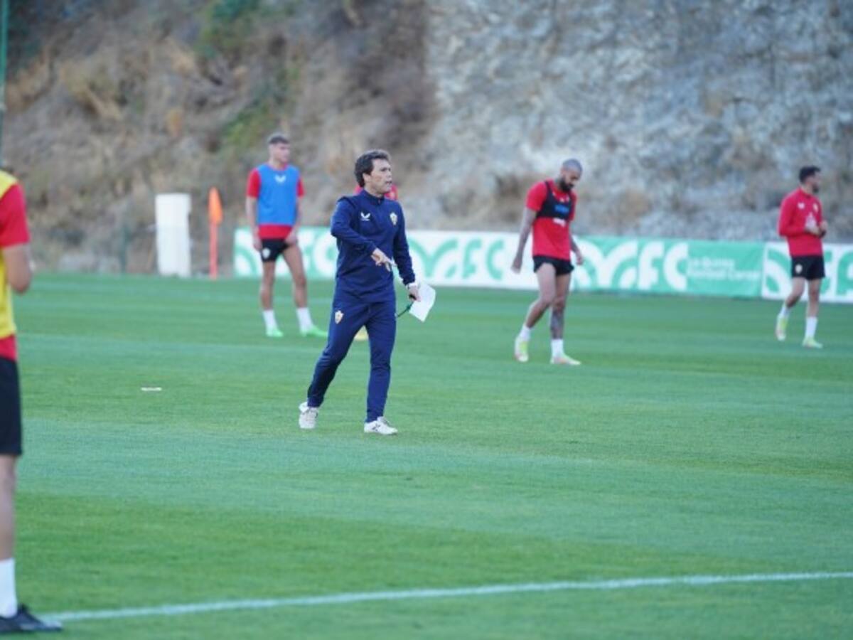 ¿Qué hicieron en Marbella?