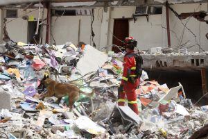 GRA089. MANTA (ECUADOR), 22/04/2016.- Fotografía facilitada por la Unidad Militar de Emergencias (UME) española, de uno de sus 45 integrantes, que continúa hoy en Manta con las labores de rescate para buscar supervivientes entre los escombros del terremot