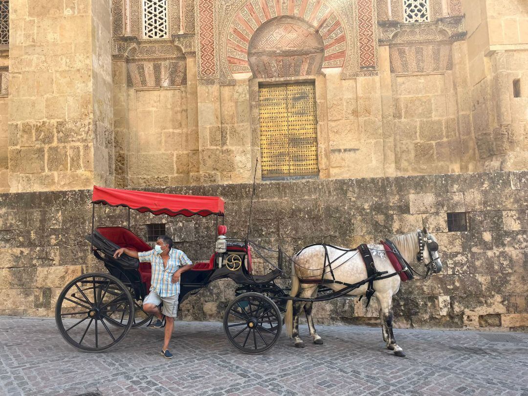 Cochero con su calesa esperando en la parada de la Mezquita Catedral.