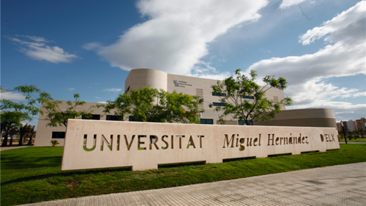 Un estudio de la UMH demuestra que el CBD revierte daños del trastorno del espectro alcohólico fetal en ratones