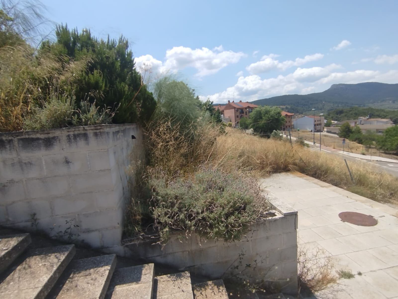 Estado de parques, jardines y zonas verdes