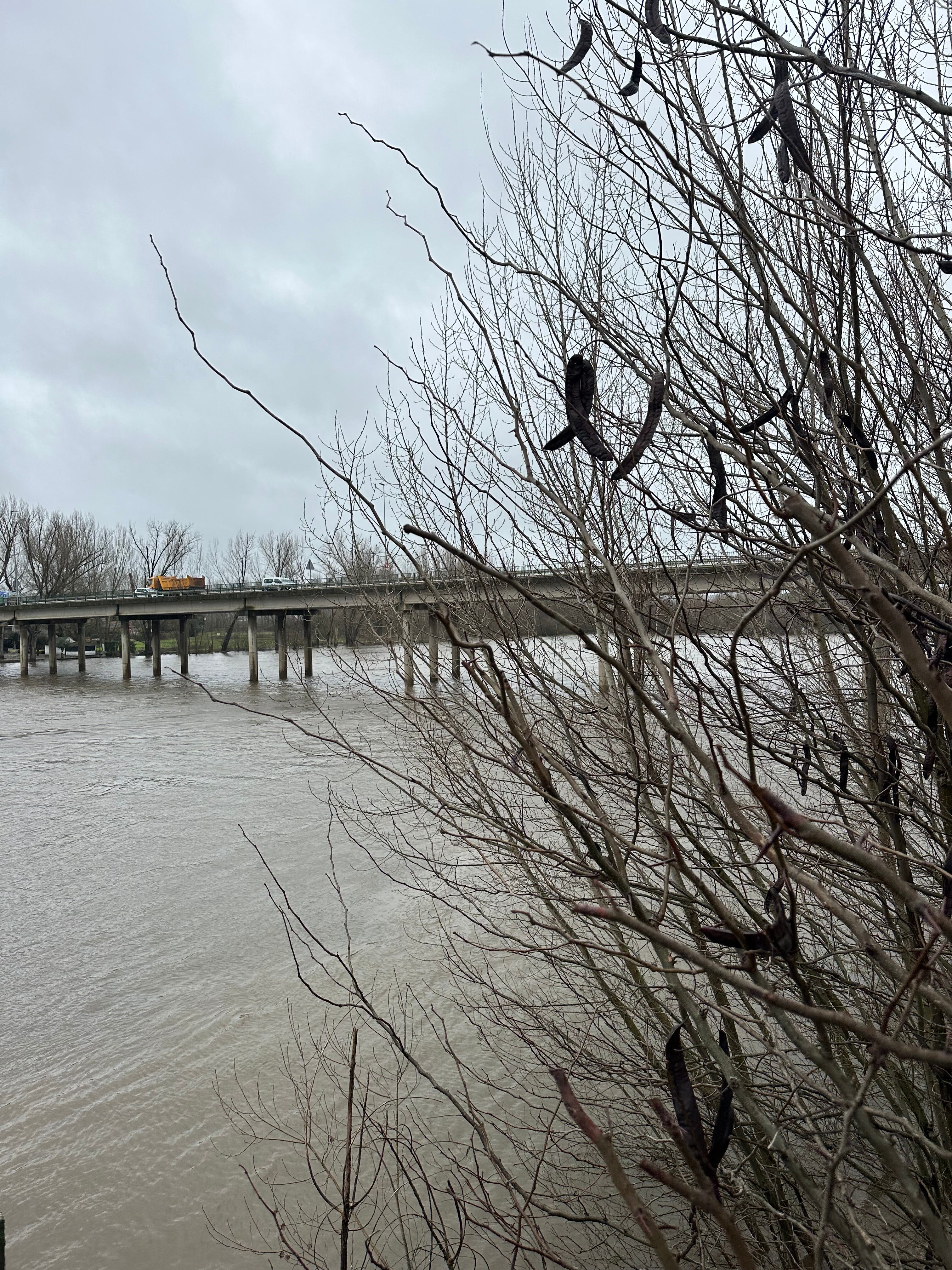 El río Alagón a su paso por Coria