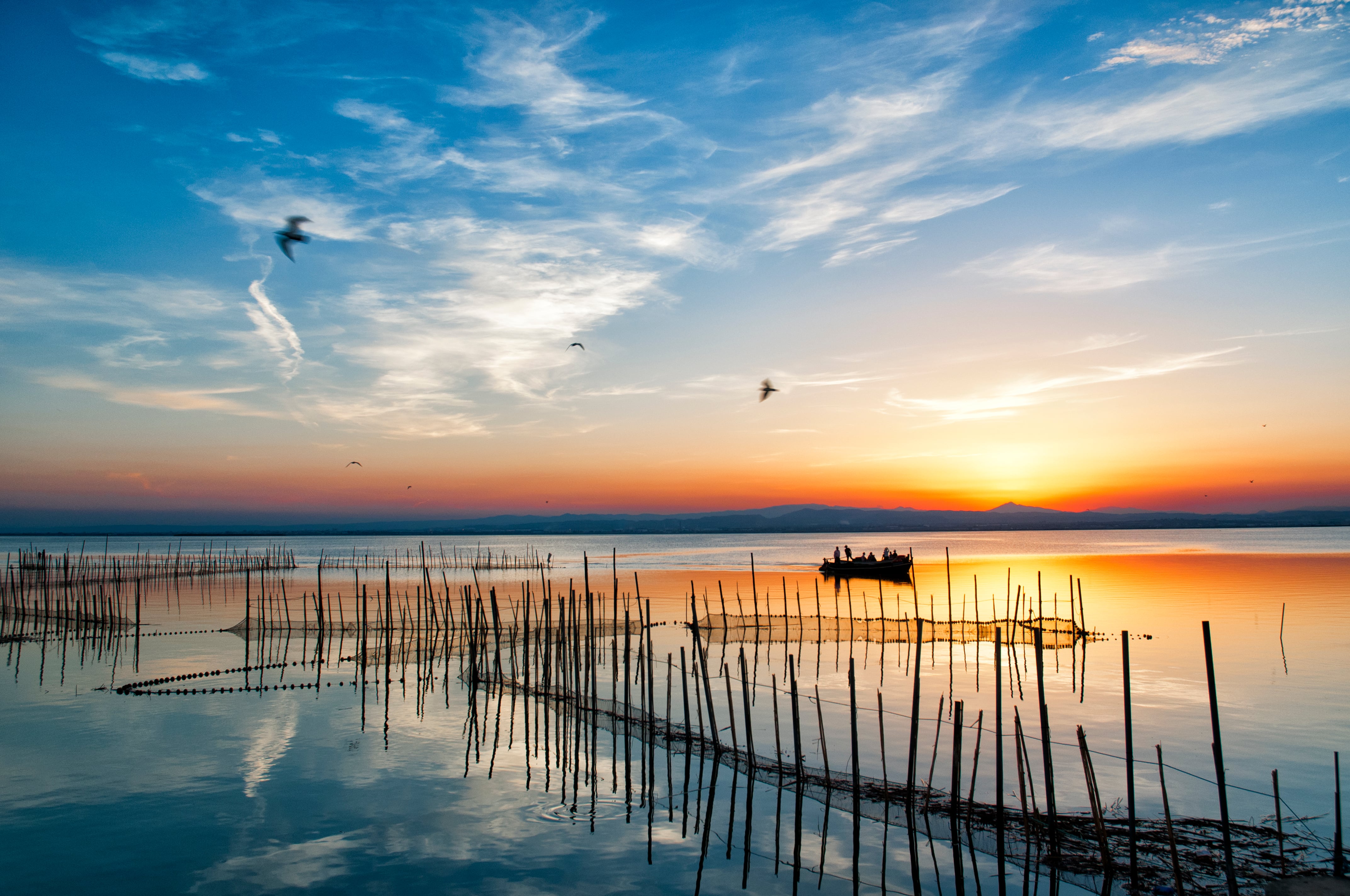 Imagen de l&#039;Albufera de València, en una imagen de archivo