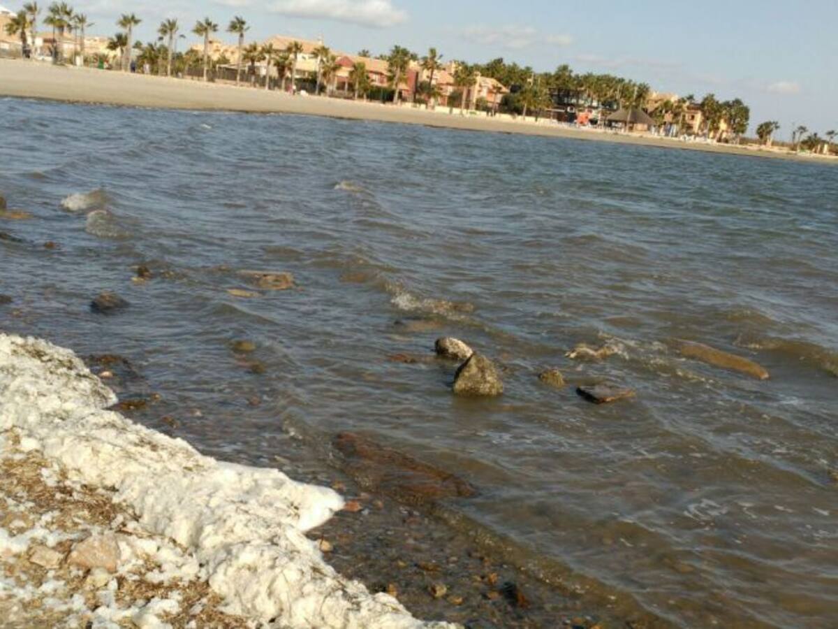 La jueza abre el caso Mar Menor y lo divide en tres partes