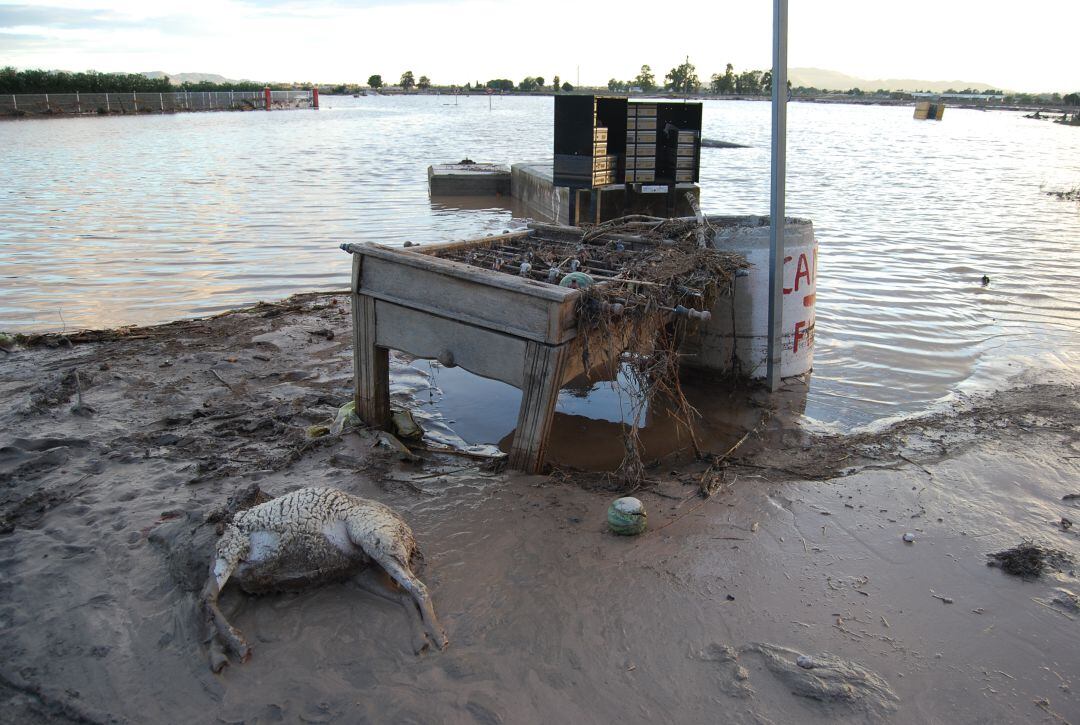 Consecuencias de las riadas de 2012 en Lorca