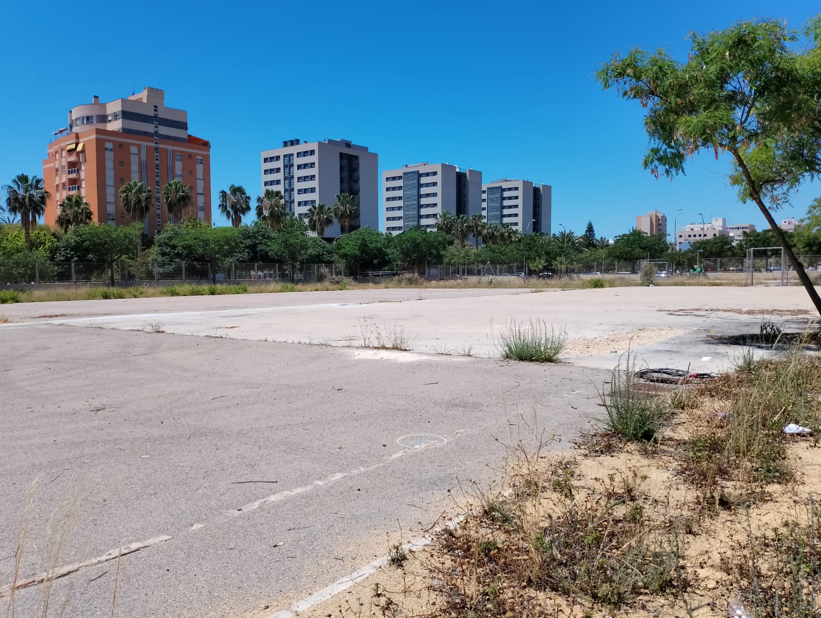 Imagen de la parcela donde debe construirse el CEIP 56 de Pla - Carolinas