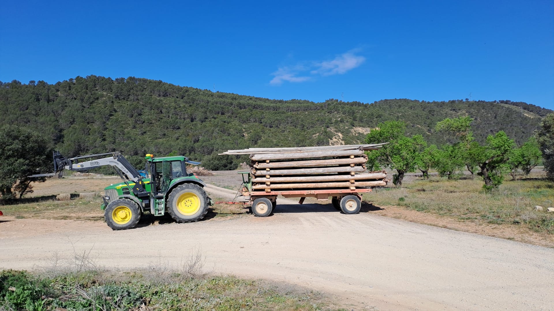 La madera para la construcción de la nabatas ya está en Murillo