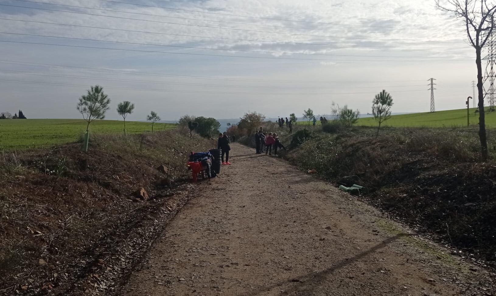 Reforestación en la Vía Verde de Linares.