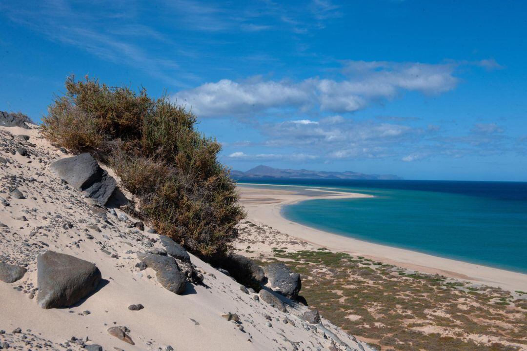 Vista de la playa de El Risco, en la localidad de Costa Calma en Fuerteventura,que continúa vacía de turistas.