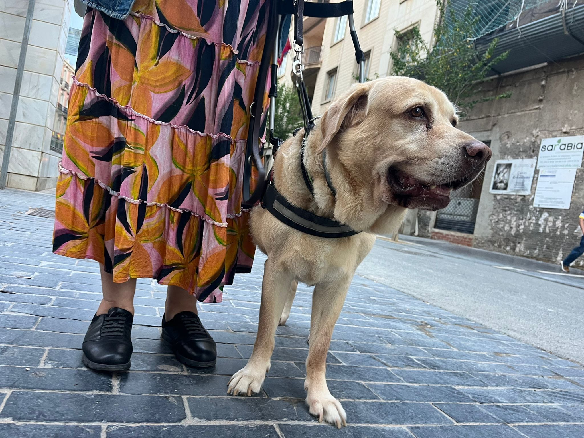 Rosadelia y Woko, su perro guía