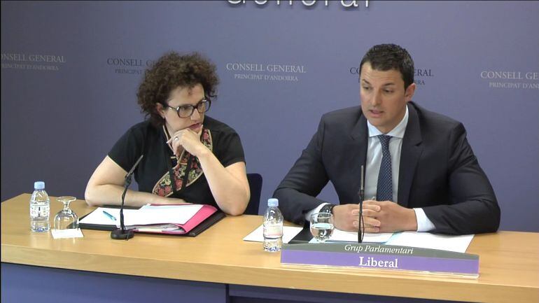 Els consellers del grup liberal Judith Pallarés i Jordi Gallardo presentant la proposició de llei de transparència i accés a la informació.